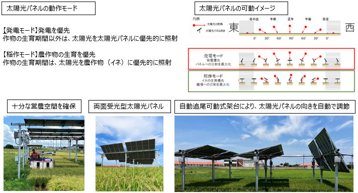 次世代営農型太陽光発電システム